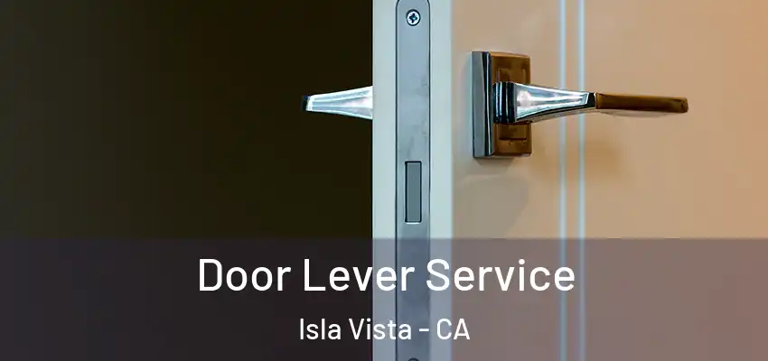  Door Lever Service Isla Vista - CA