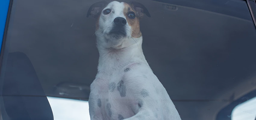 Car Lockout Solutions in Isla Vista, California